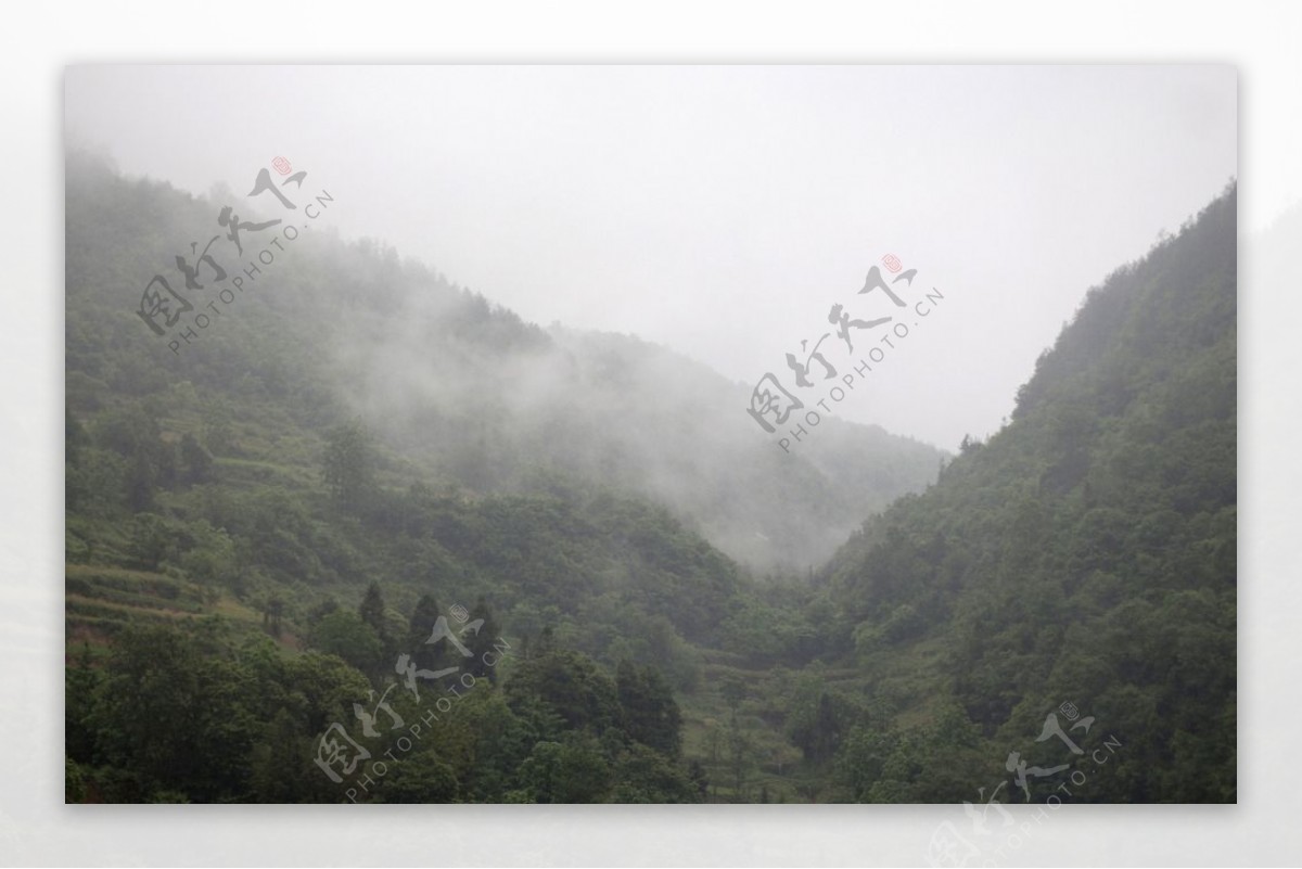 雨后山林图片