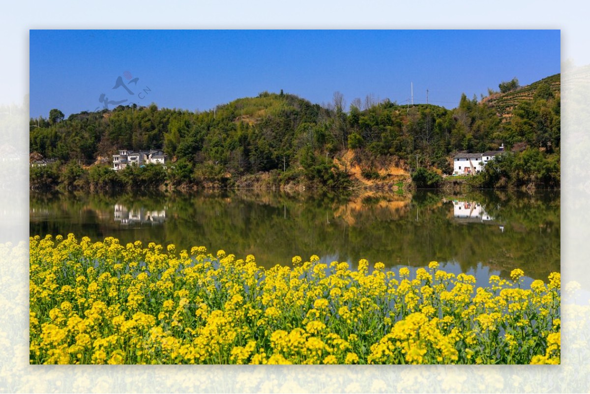 新安江山水画廊图片