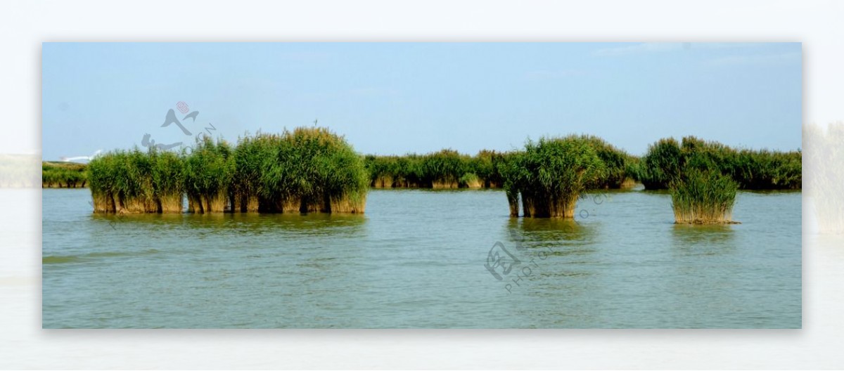沙湖图片