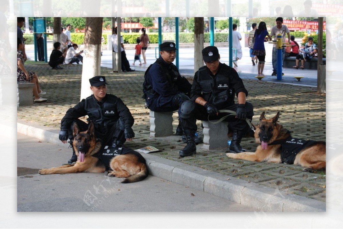 警察与警犬图片素材-编号09948245-图行天下