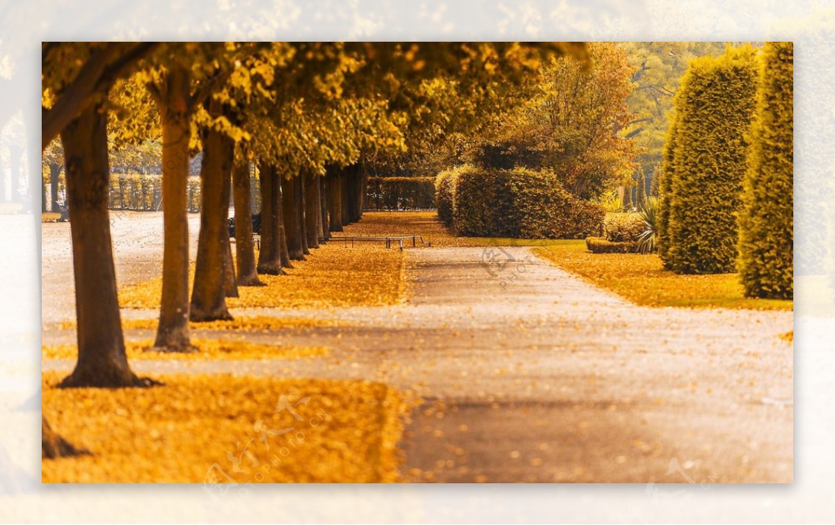 秋季欧式街道图片