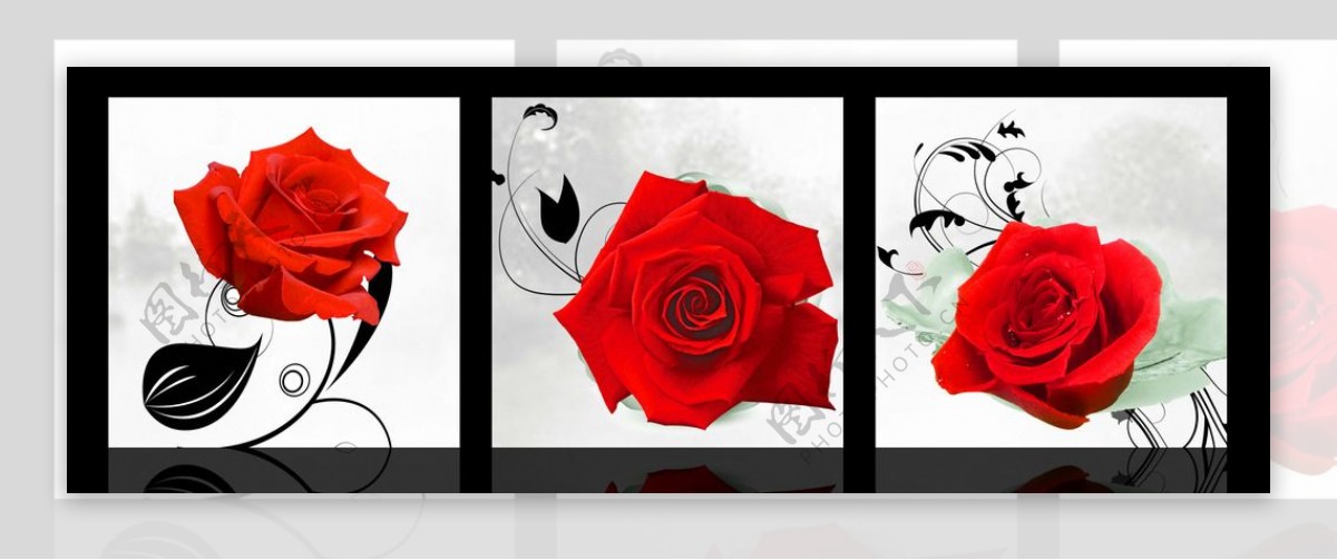 红玫瑰无框画图片