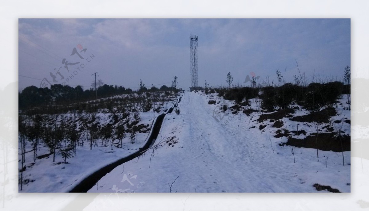 苗圃风雪图片