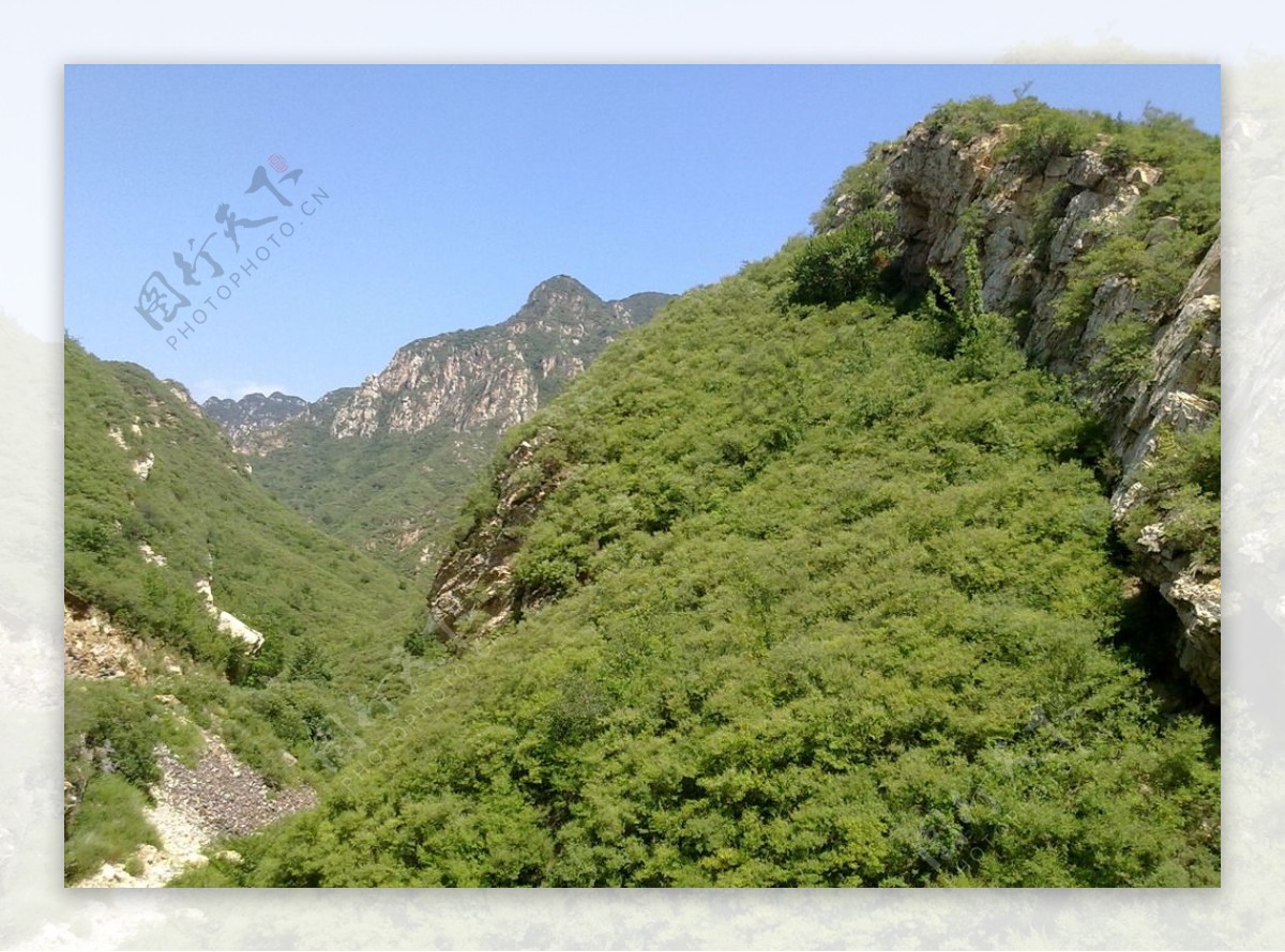 虎峪的绿背之山图片