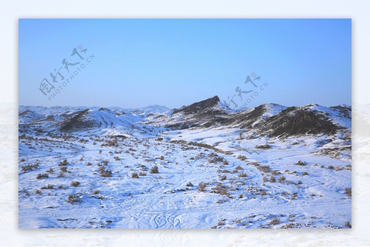 白杨河雪景图片