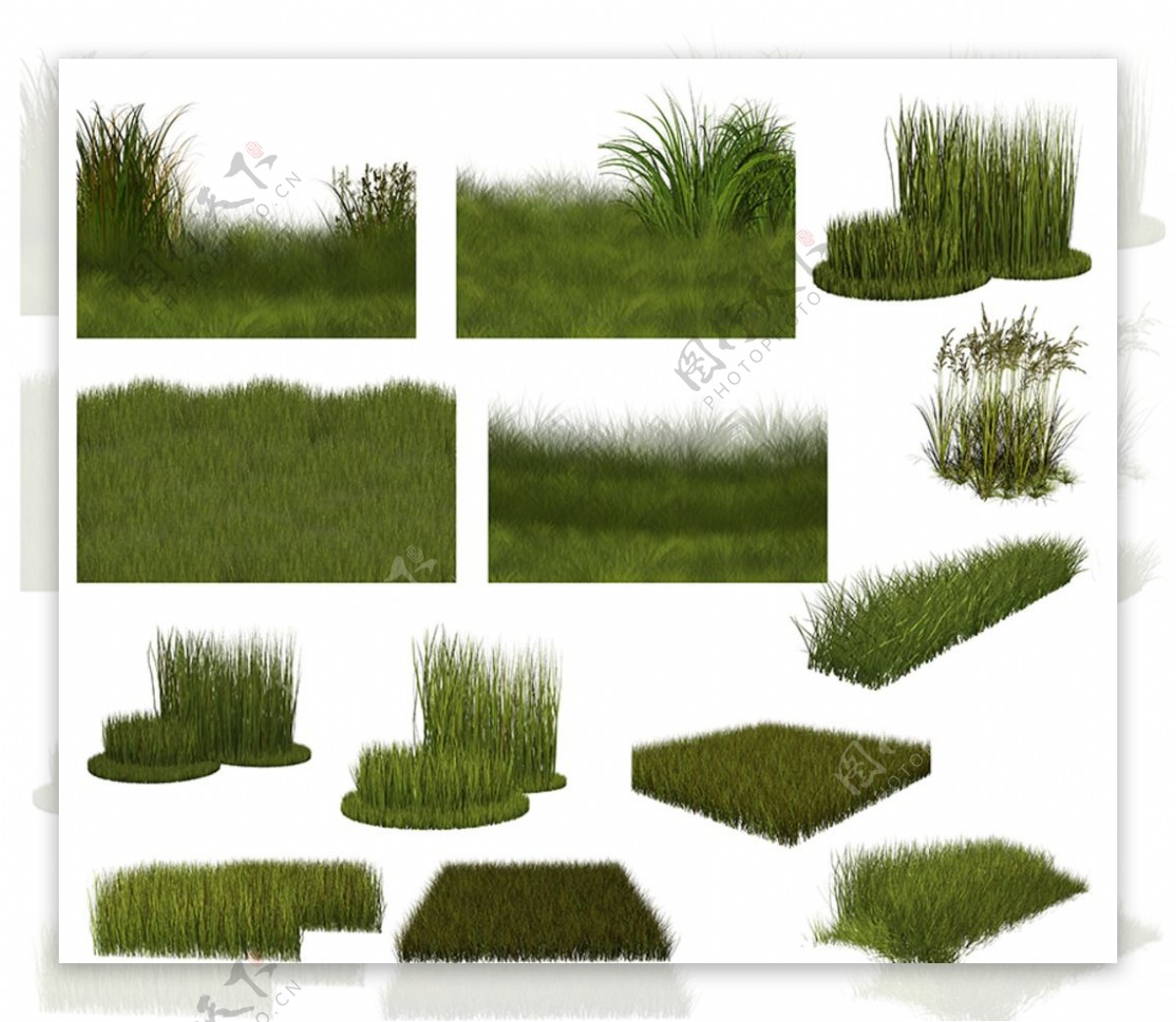 绿草素材图片
