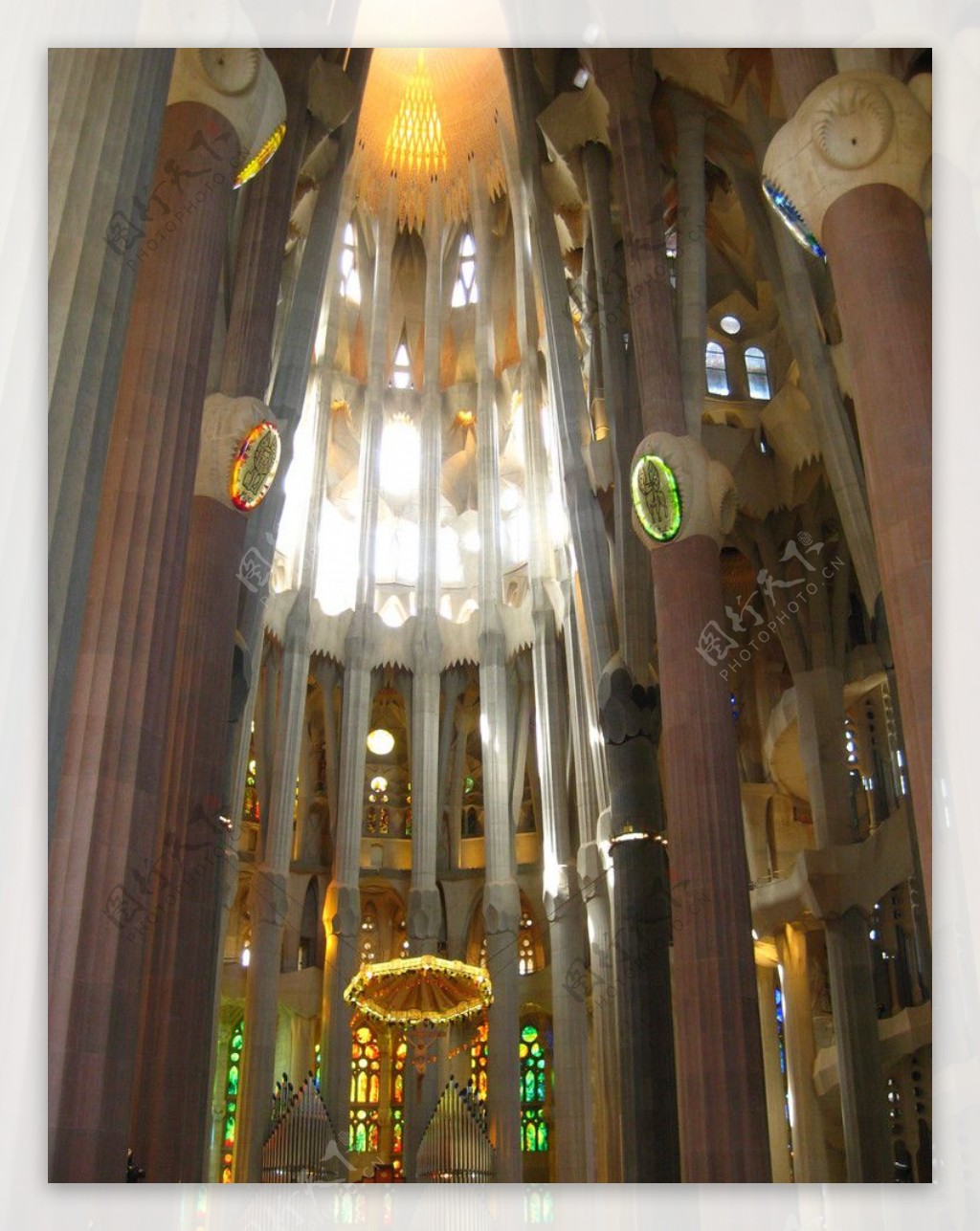 巴塞罗那圣加大教堂图片