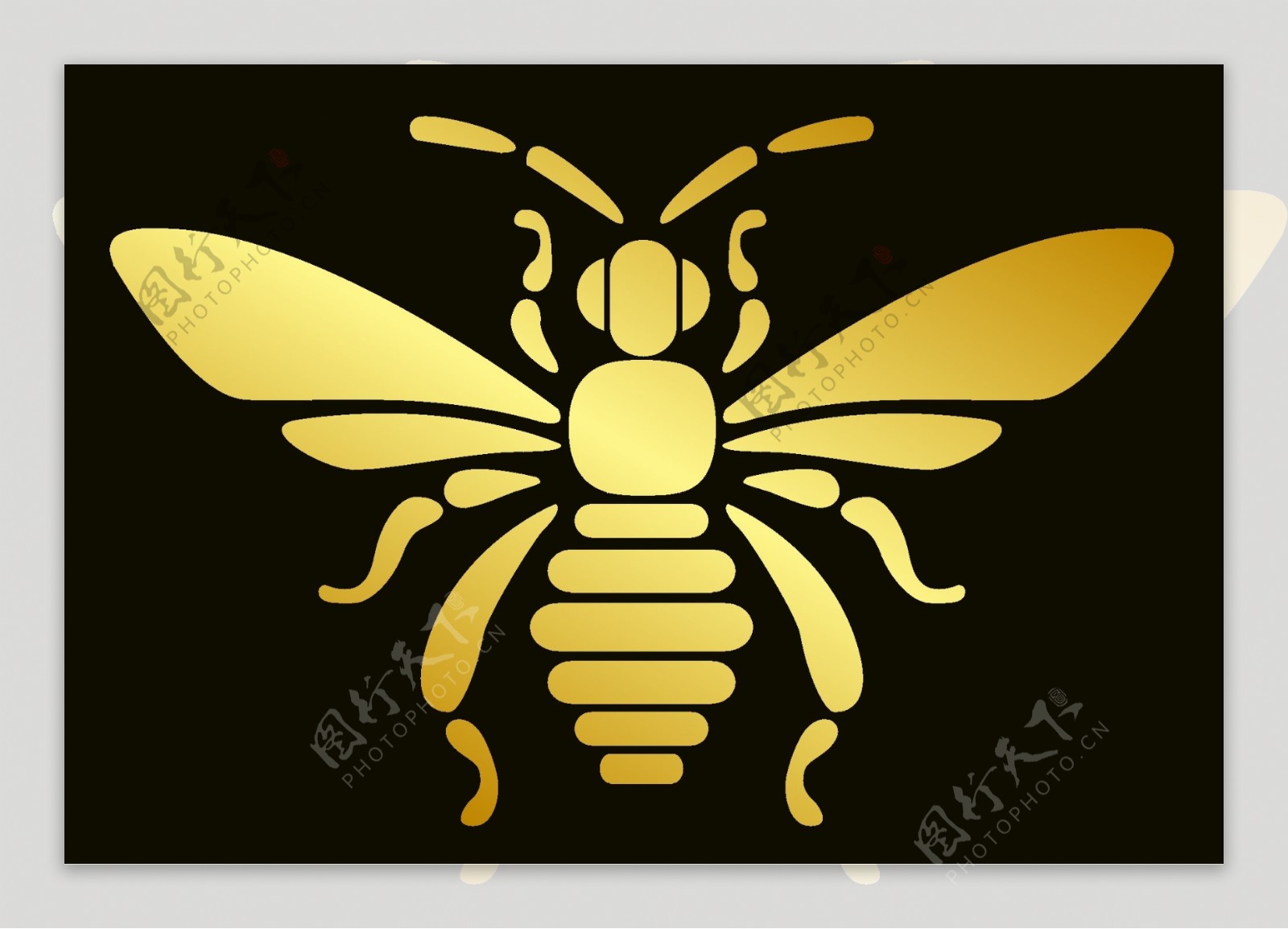 金色蜜蜂图片