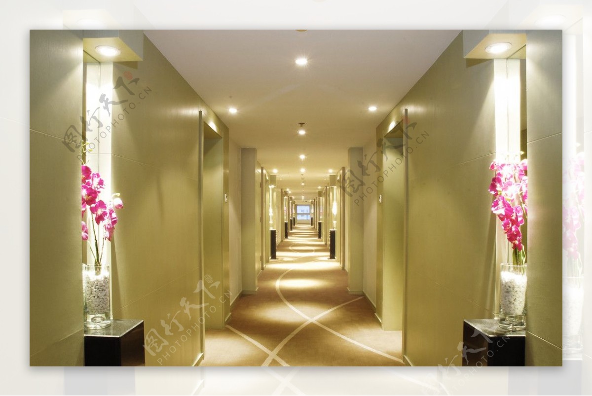 星级酒店客房走廊图片