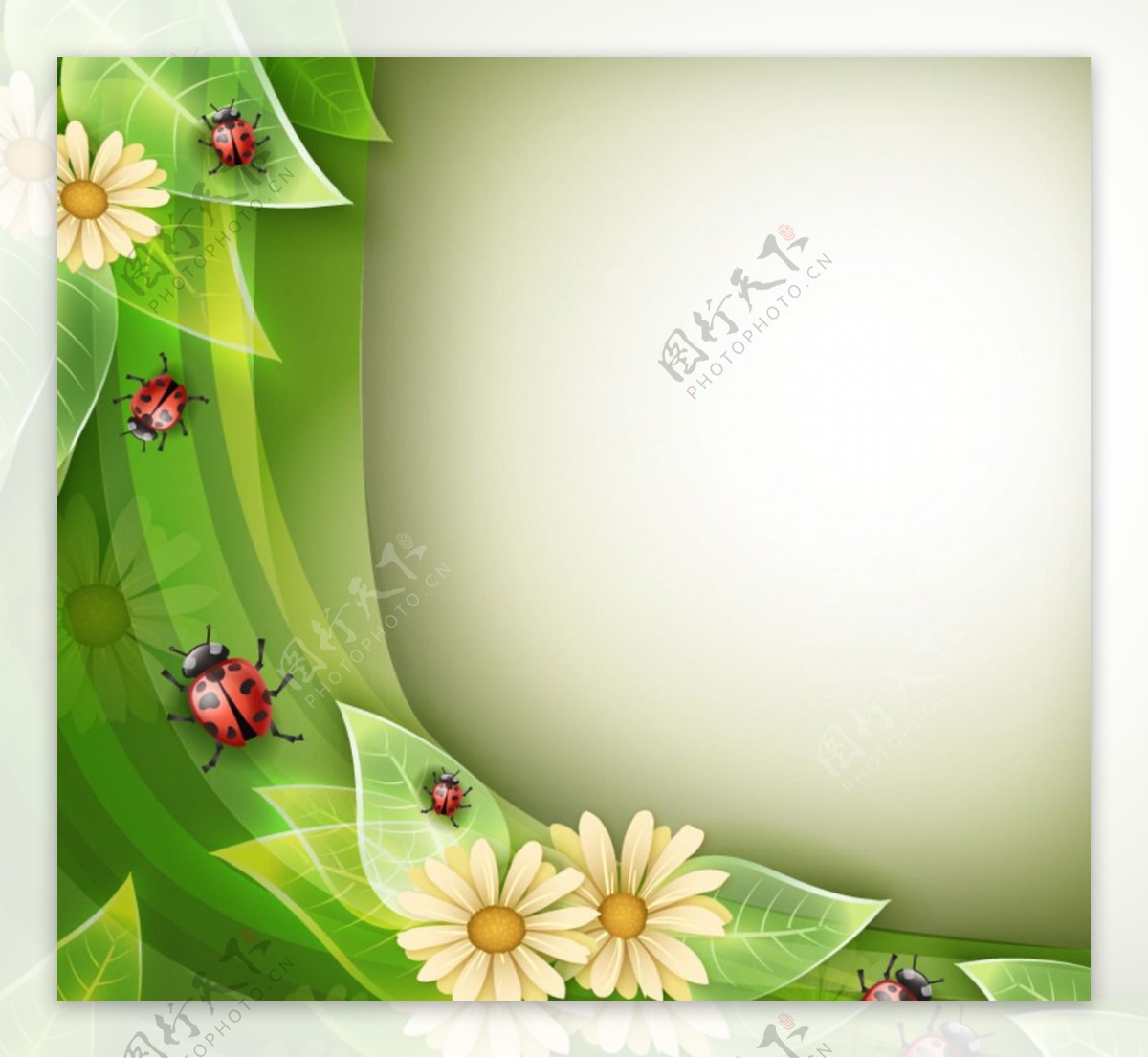 绿色植物与瓢虫背景图片