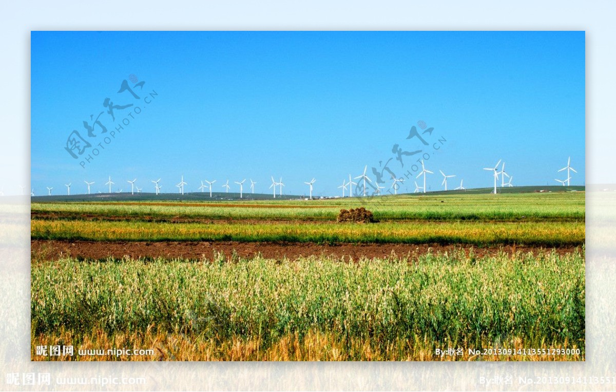 麦地与风力发电美景风图片