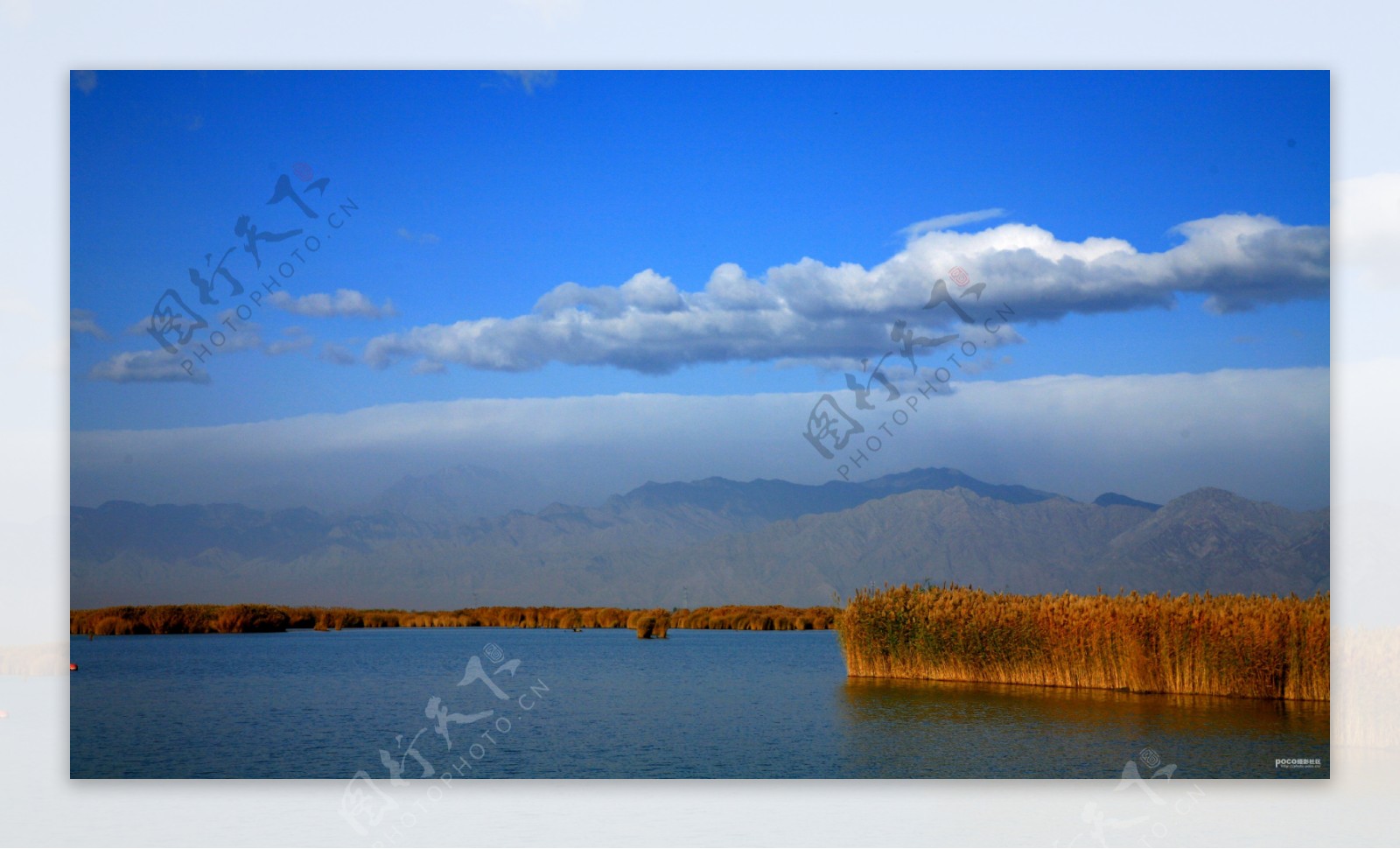 银川沙湖图片