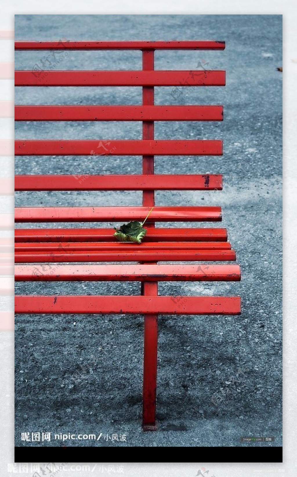 秋天的红椅子图片