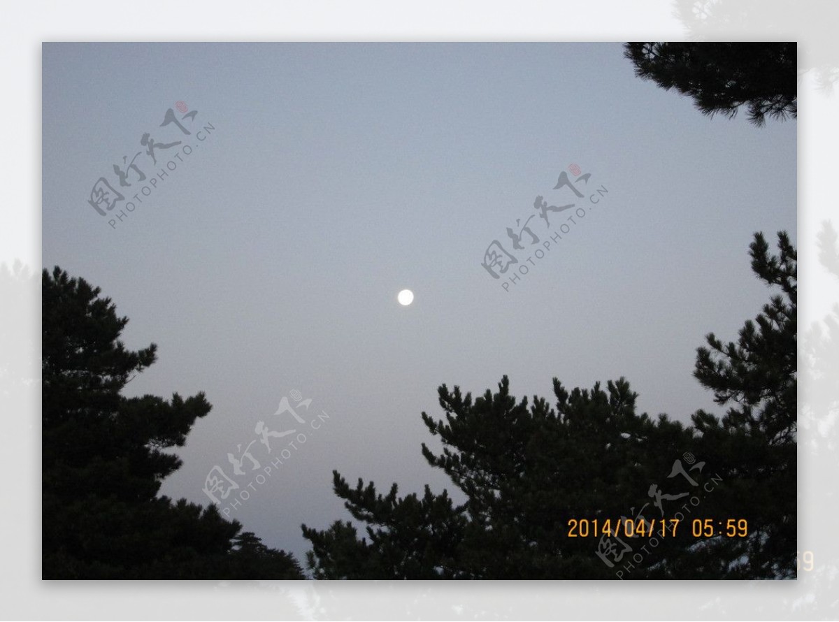 早晨的月光图片