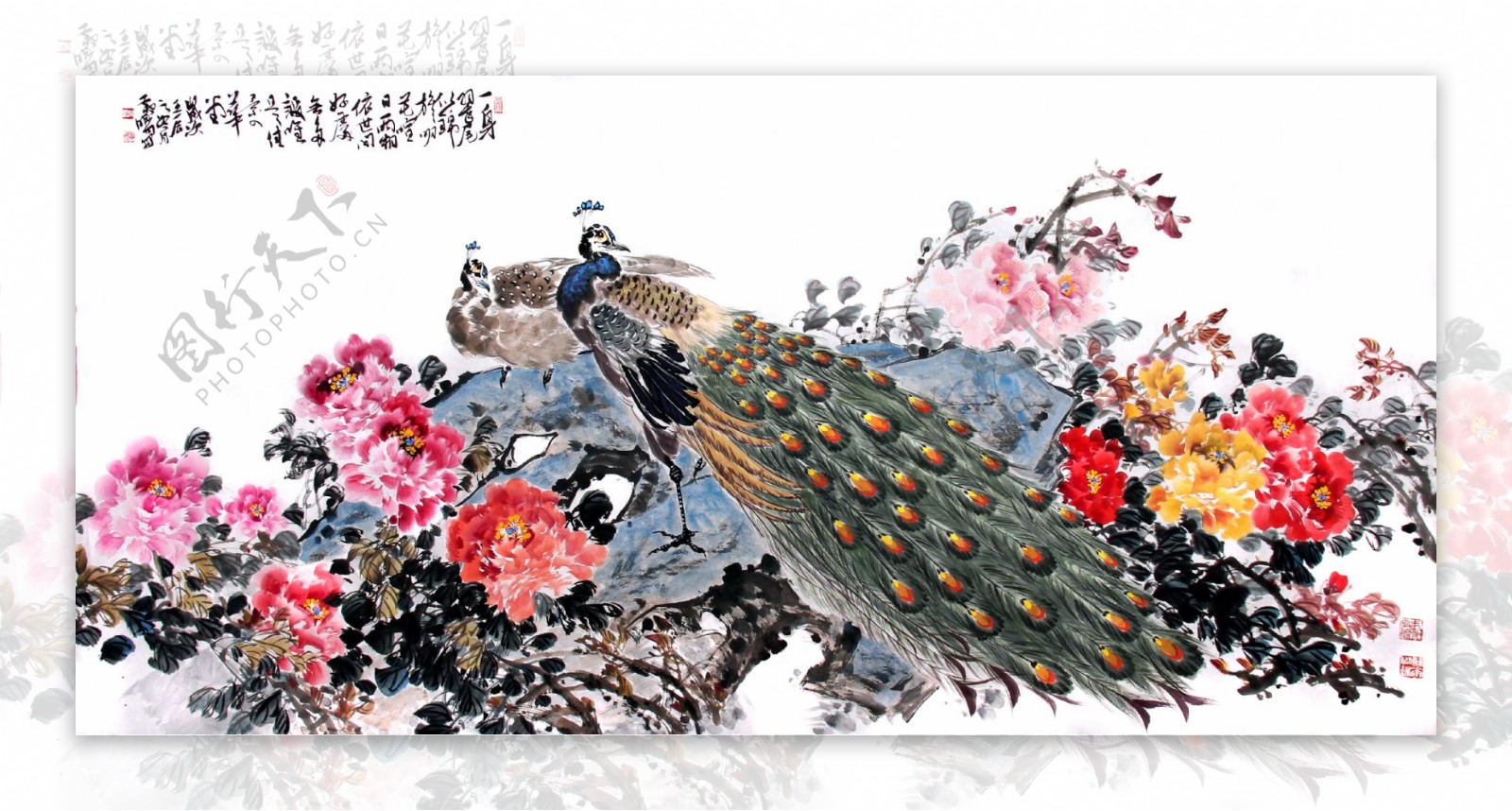 黄旸国画花鸟图片