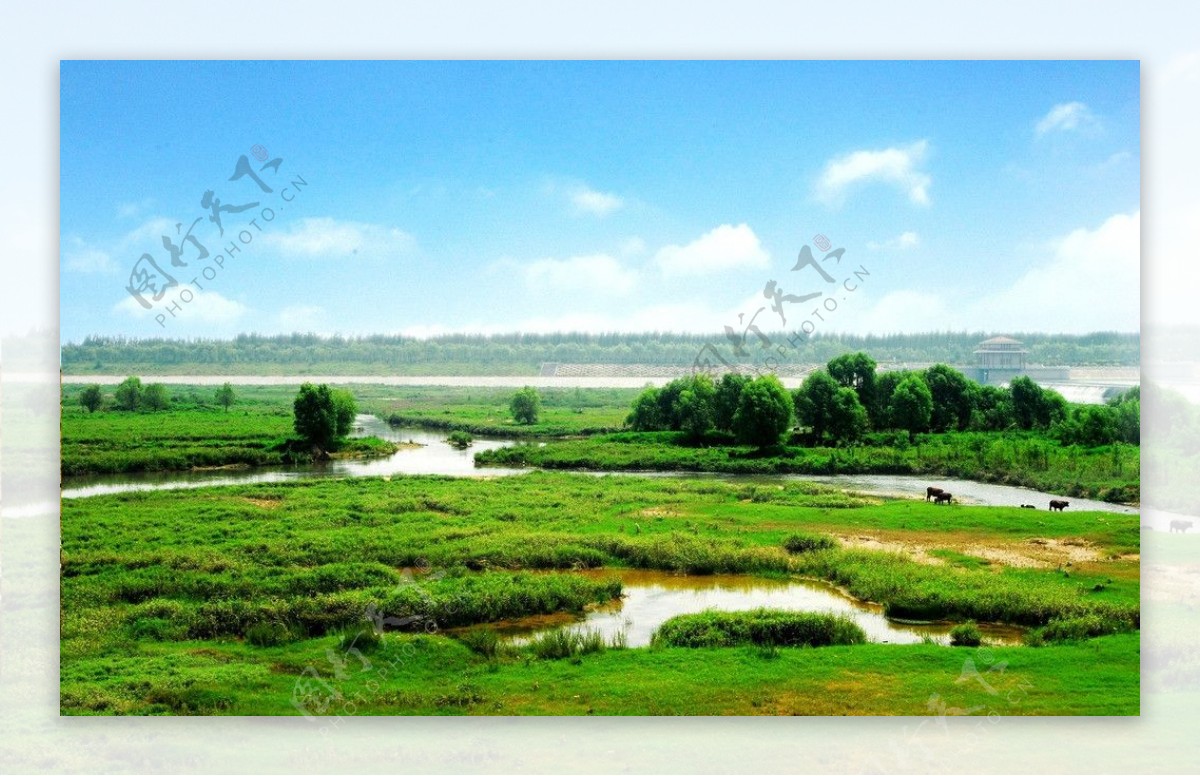 浐灞国家湿地公园图片