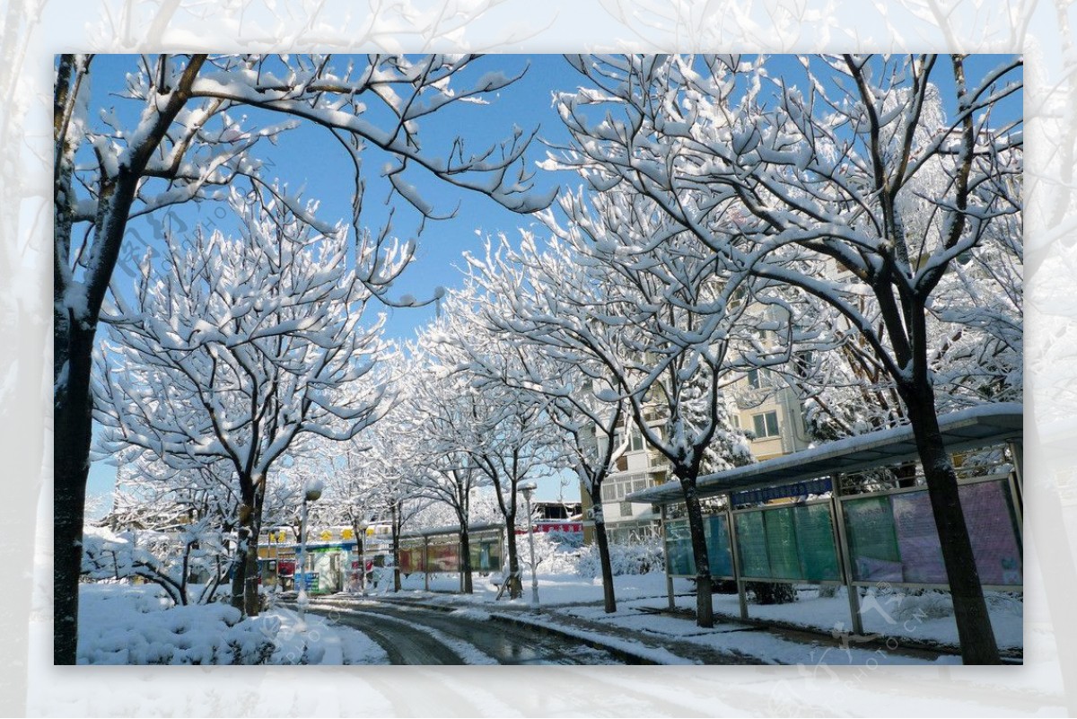 雪景图片