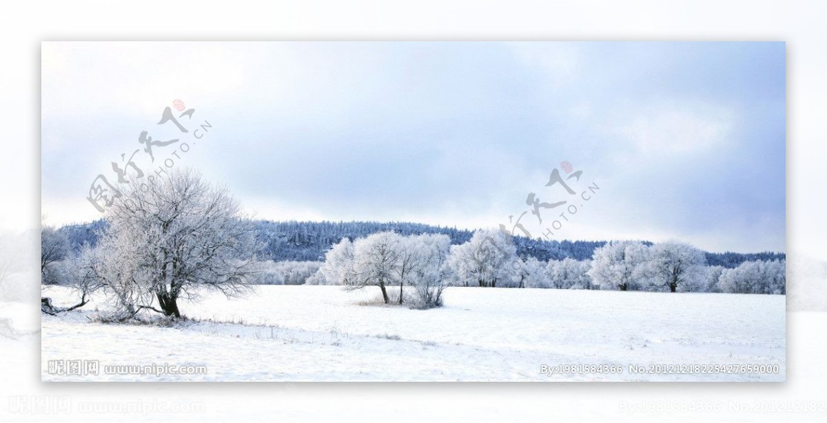冬季雪景全景图片