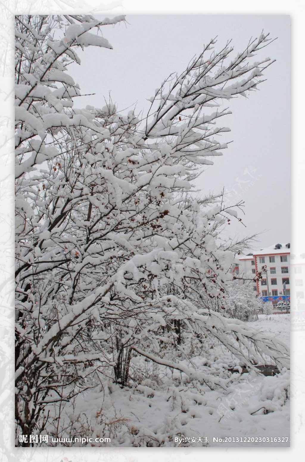 统建楼家前冬天雪景图片