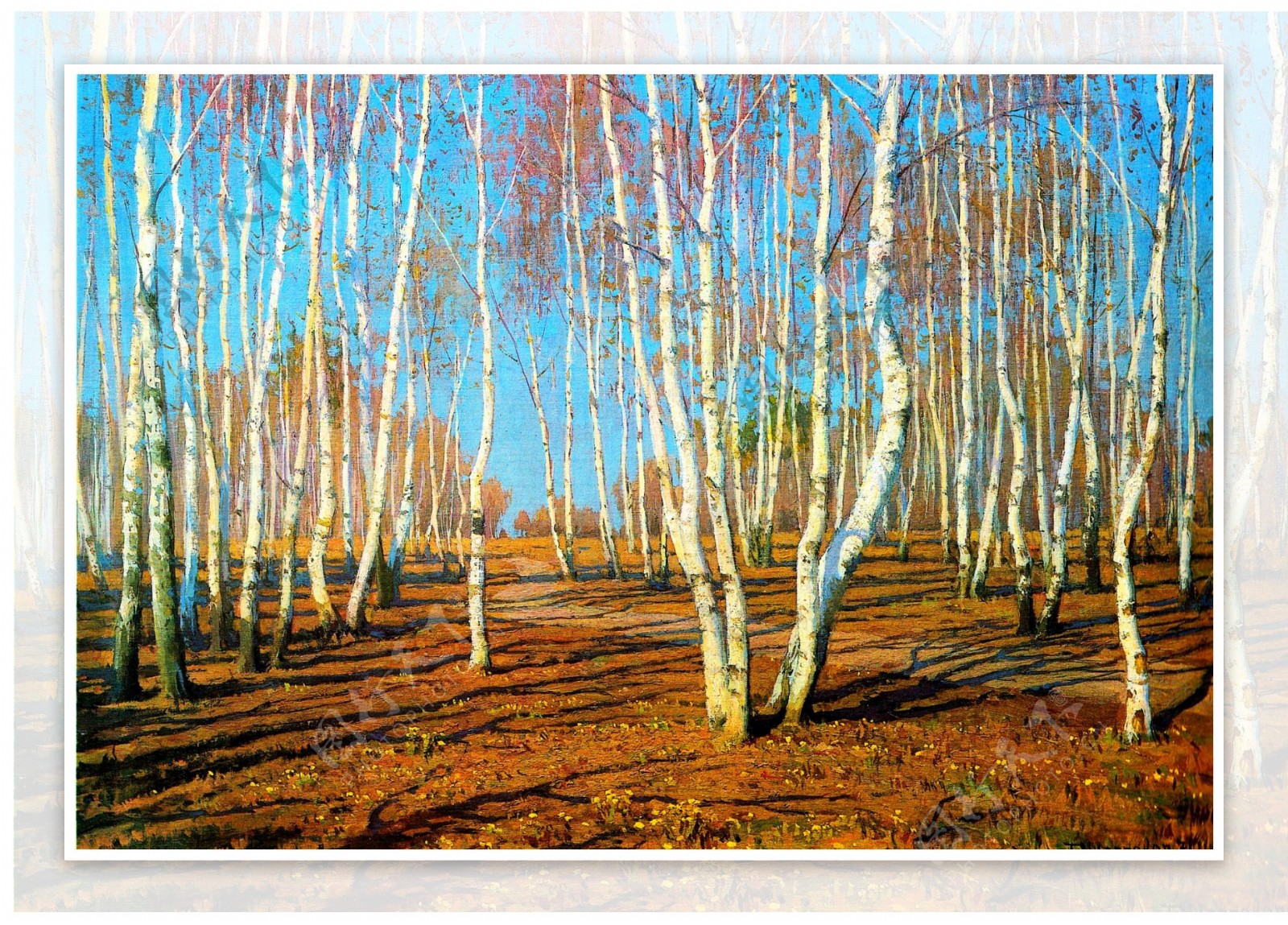 白桦树林风景油画图片