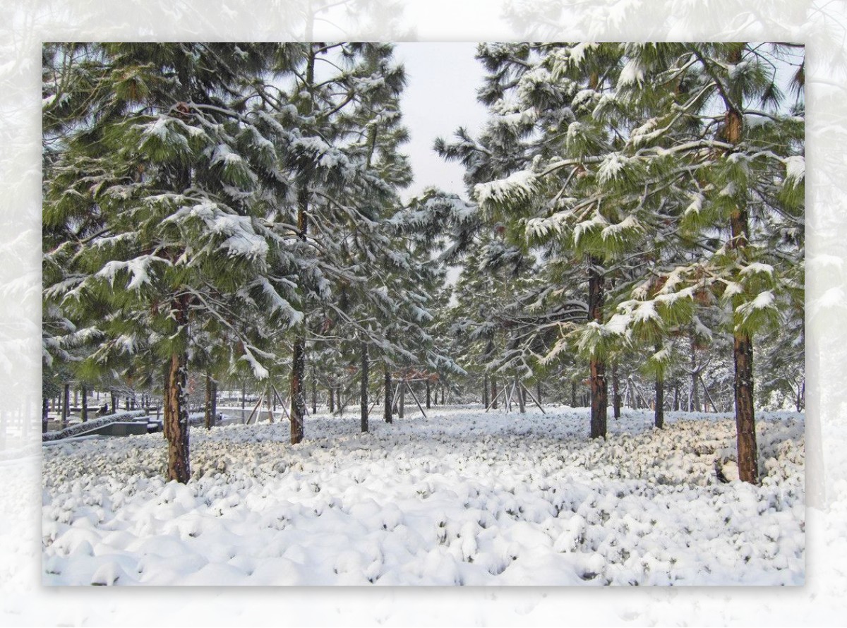 雪景图片