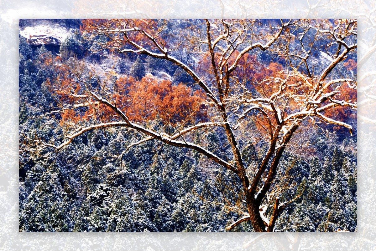 泰山冬日雪景图片