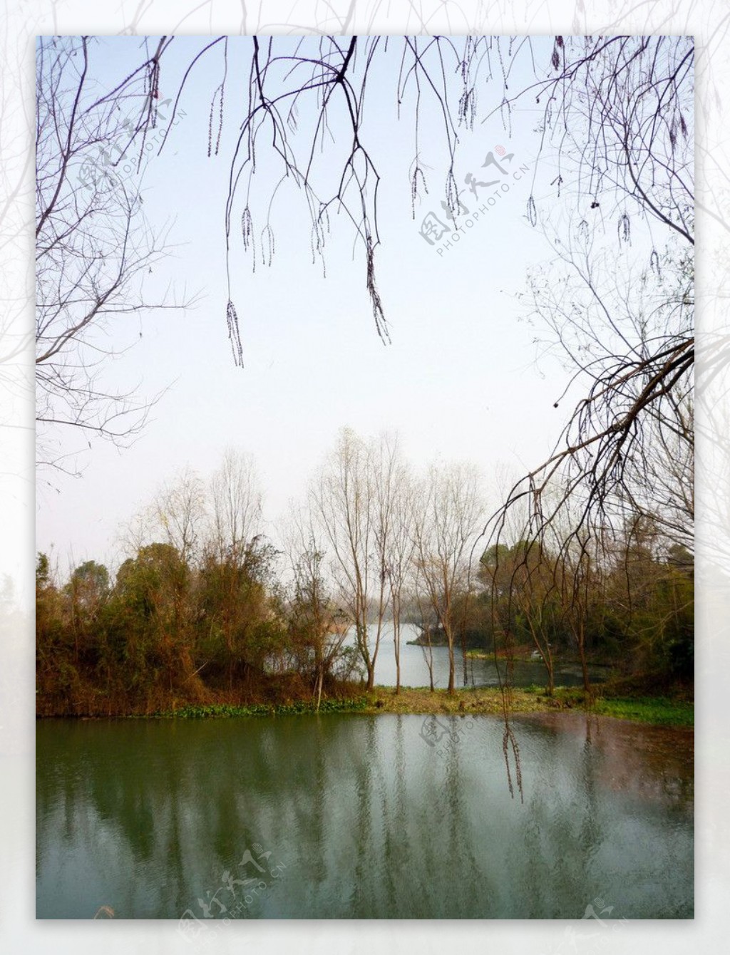 2017年2月12日游杭州西溪湿地-中关村在线摄影论坛