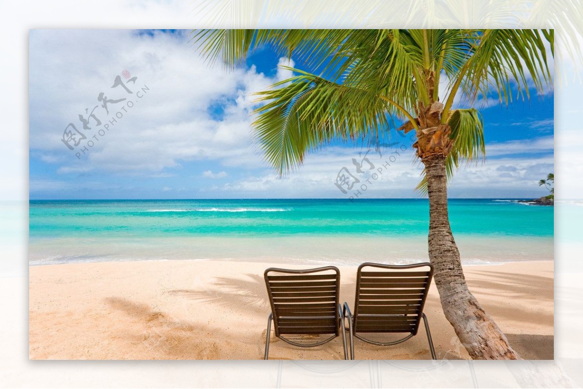大海沙滩椰树图片素材-编号11511632-图行天下