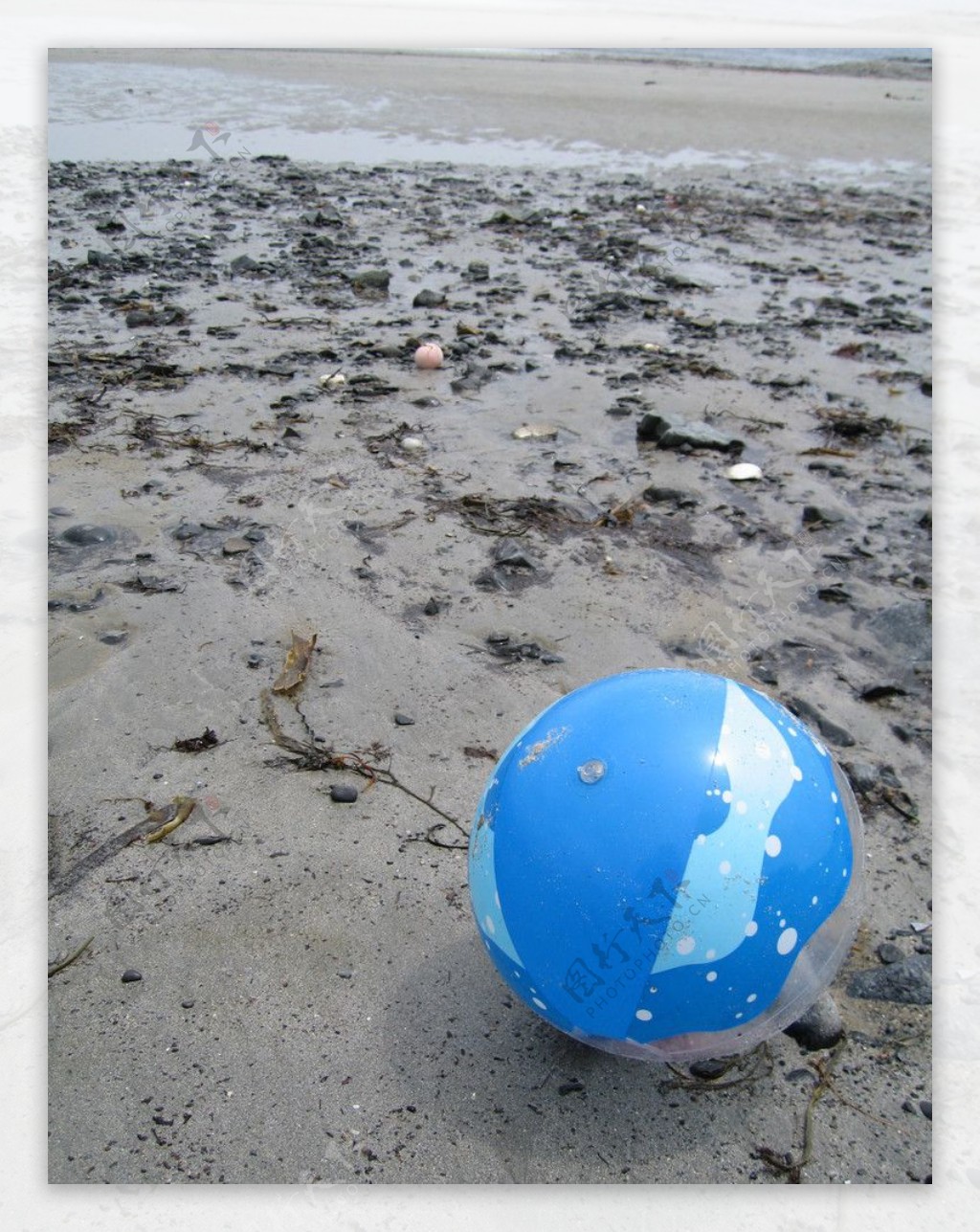 沙滩气球图片