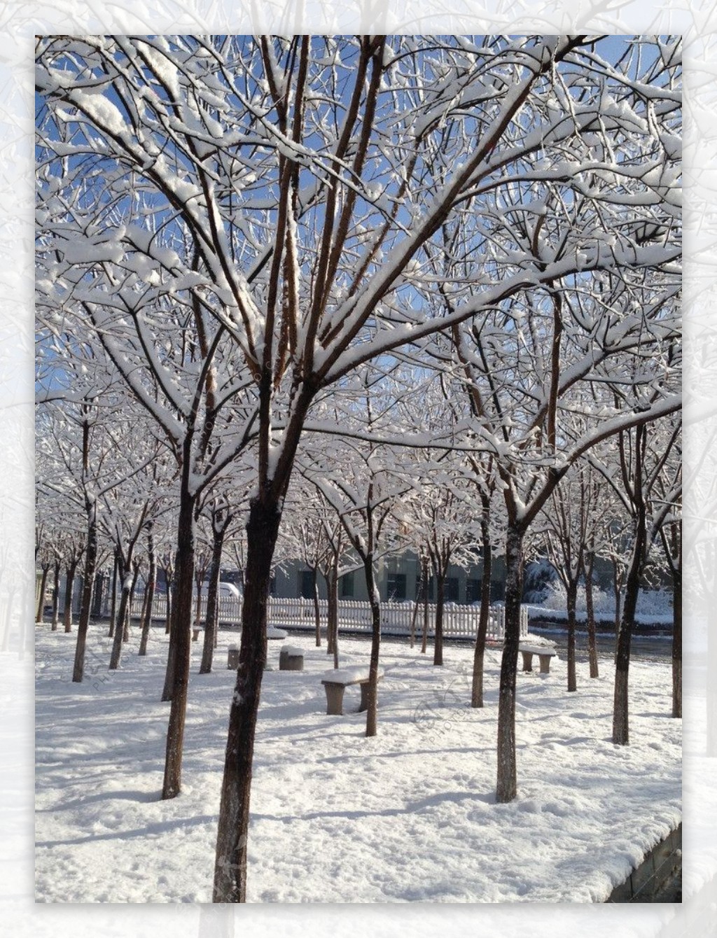 雪景图片