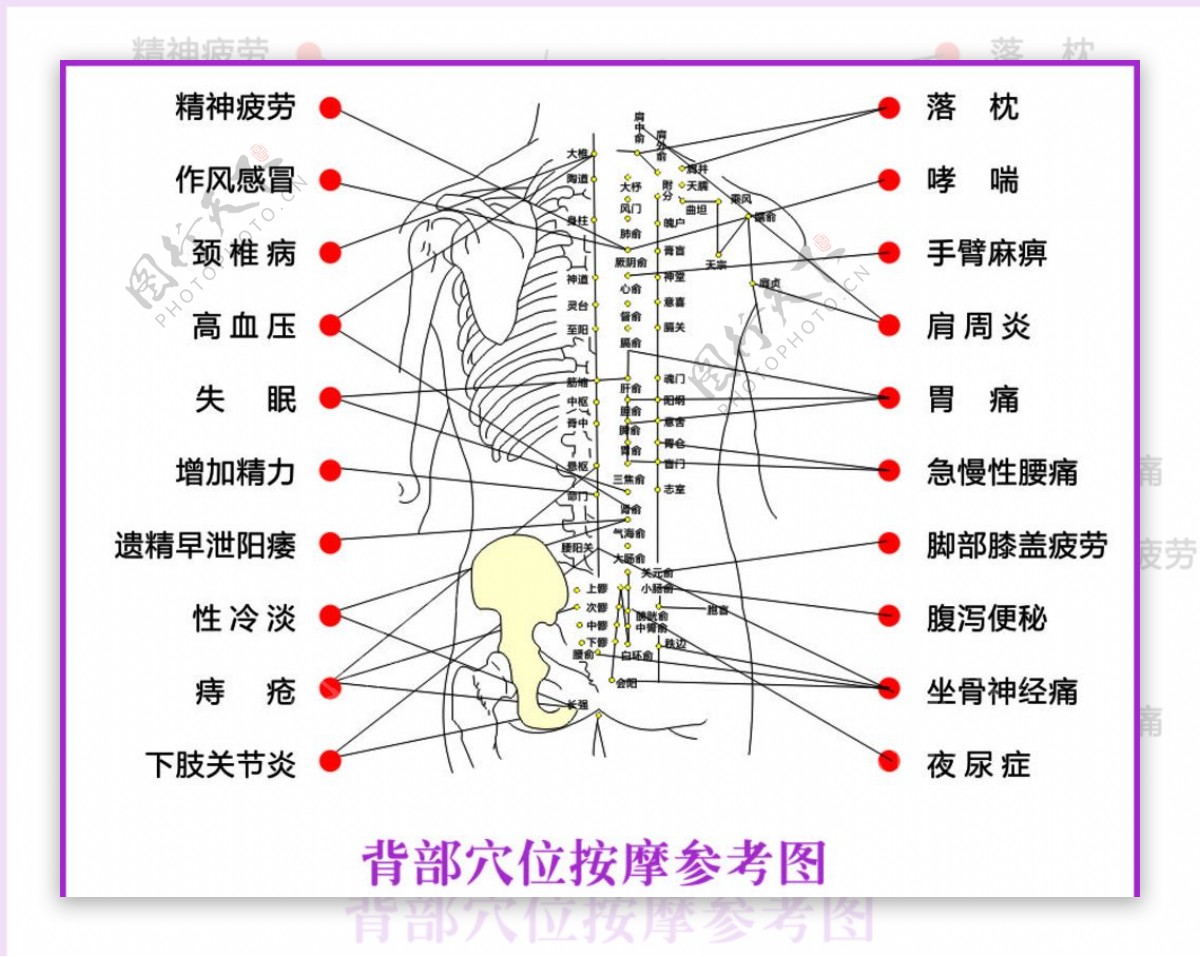 人体穴位图体体背部图片