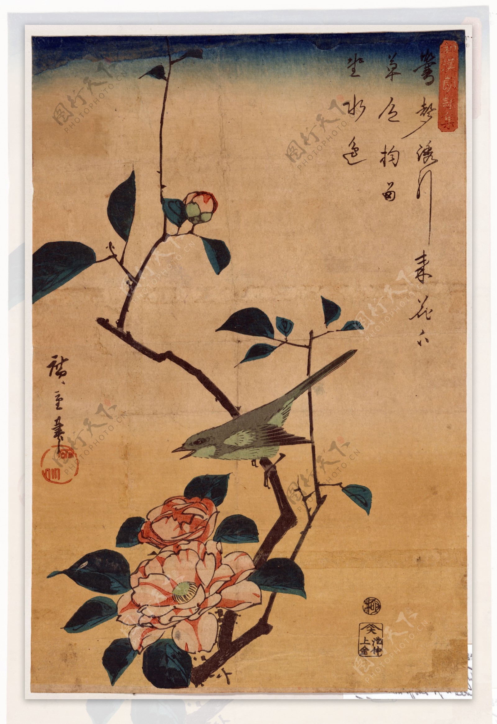 日本浮世绘花鸟图片