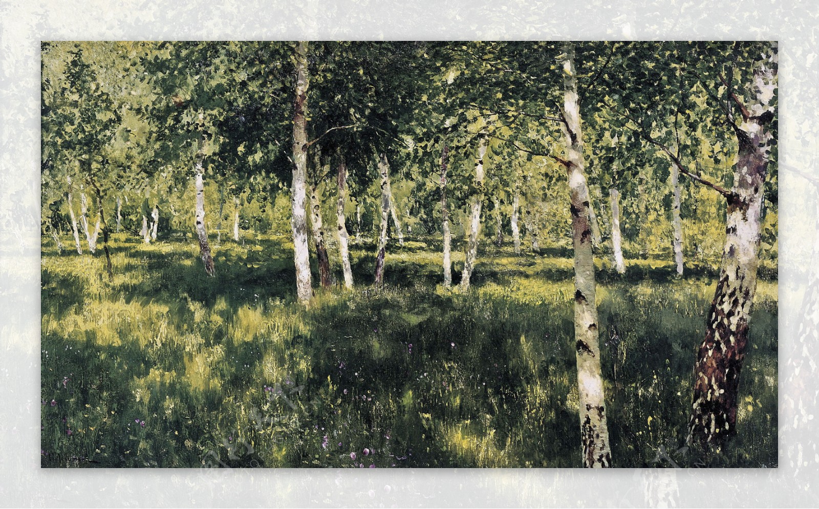 桦树林图片