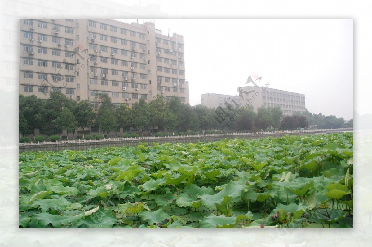 长江大学西校区图片