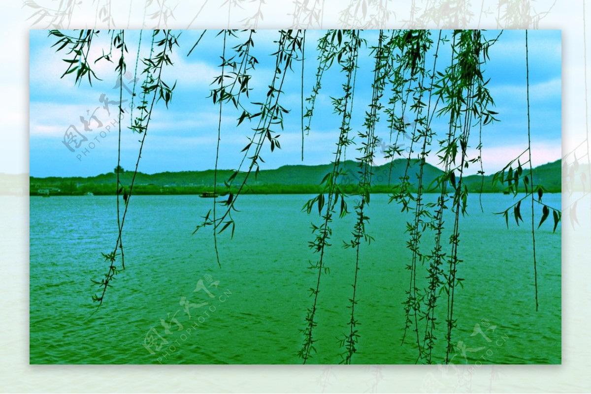 西湖水图片