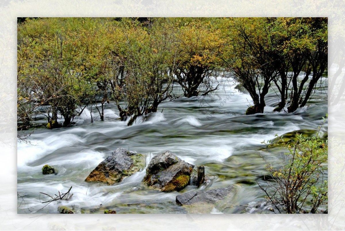 小溪河流风光图片