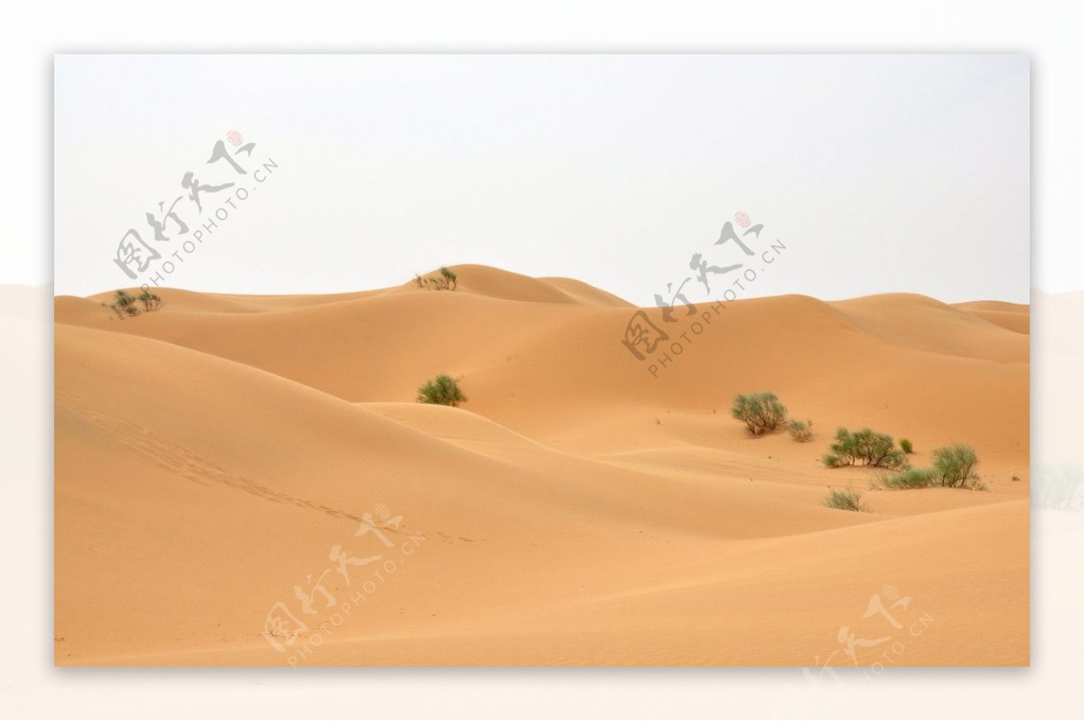 神秘腾格里大沙漠图片