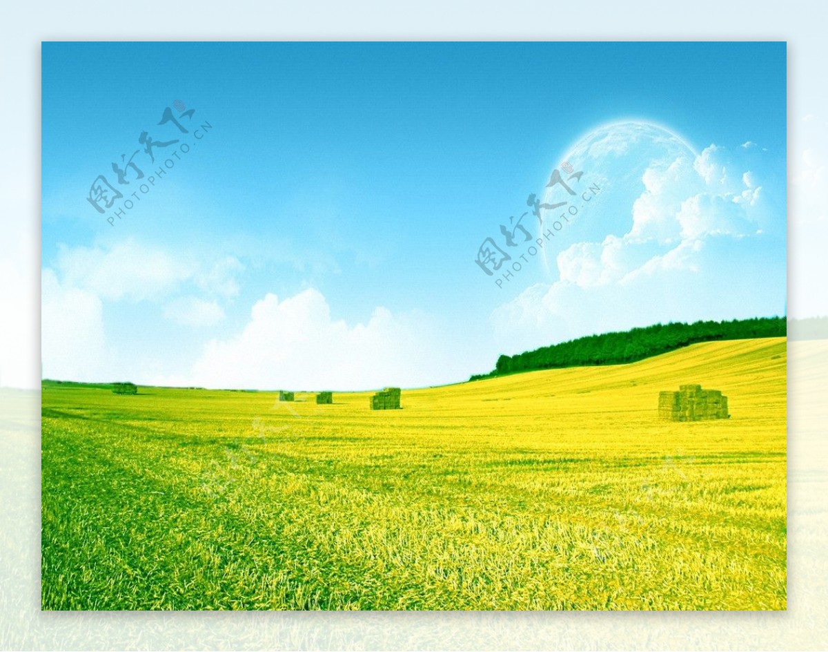 草原风景壁纸图片