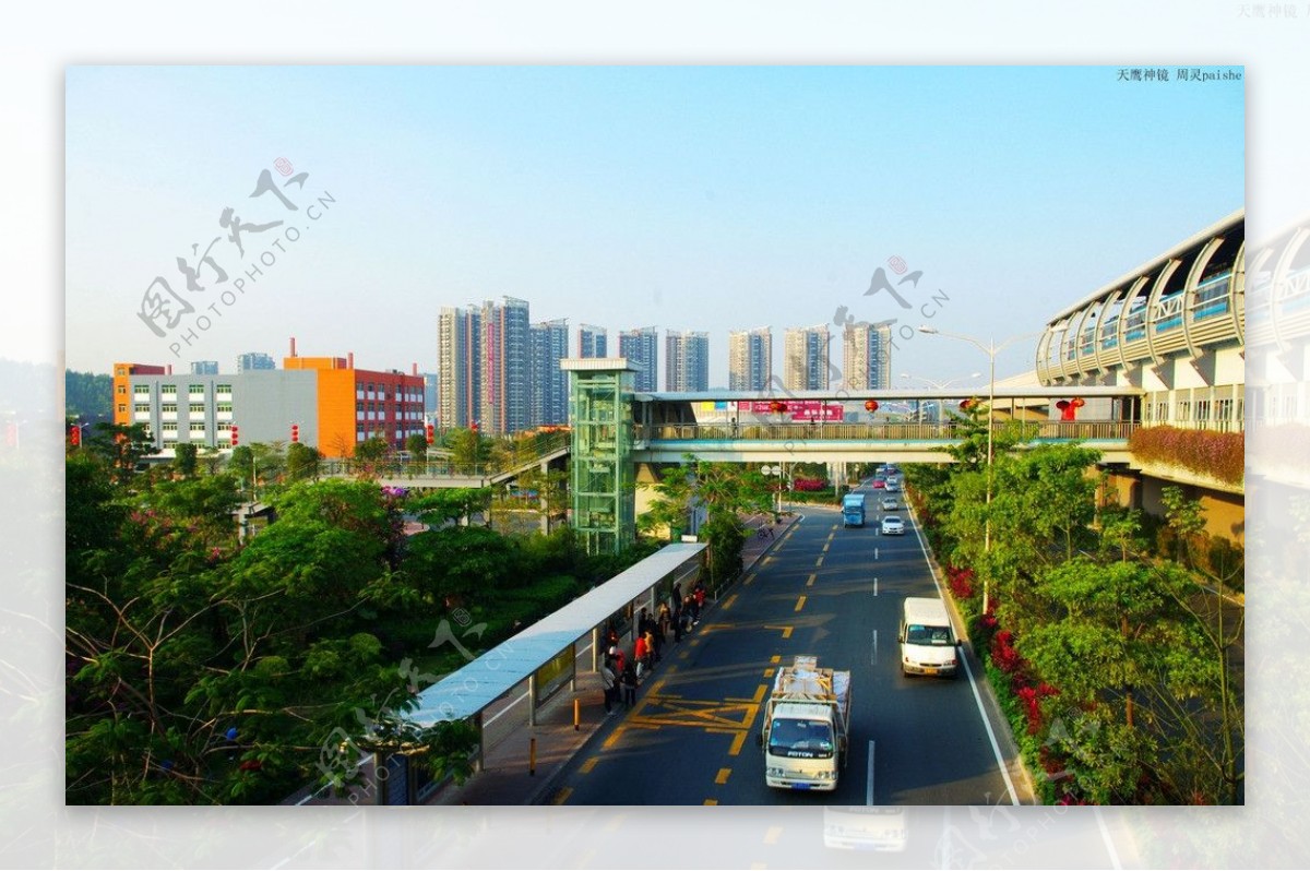 交通建设城市绿化图片
