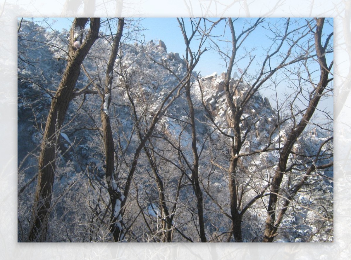 崂山雪景图片