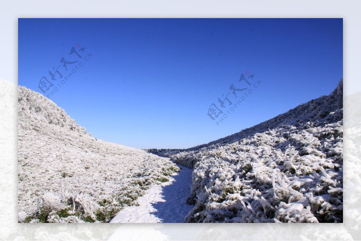 金佛山雪景图片