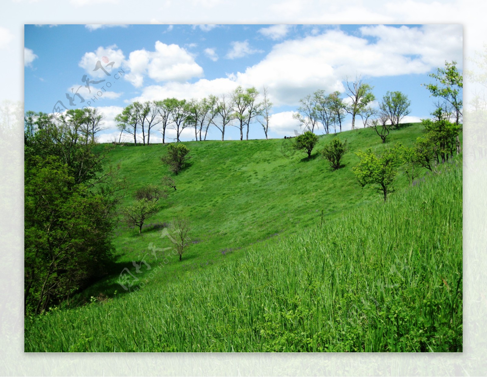 绿色草坪山坡图片