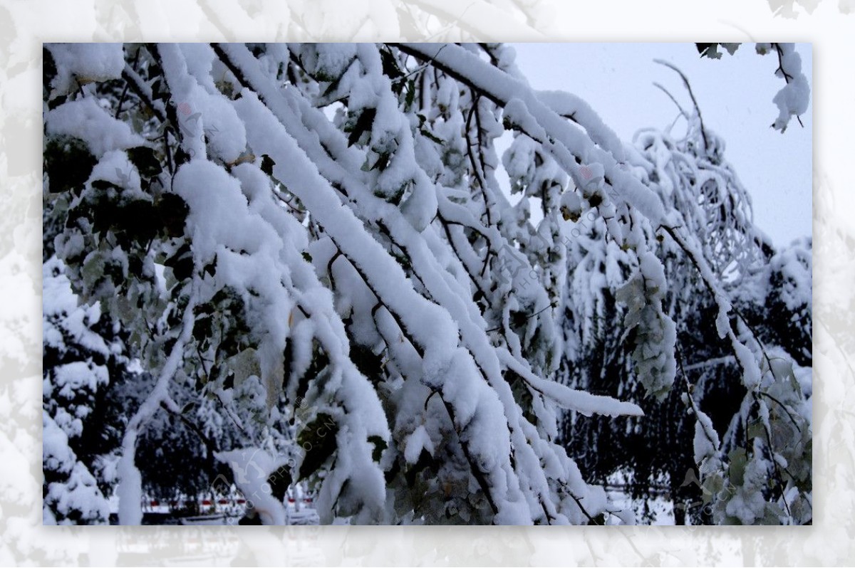 雪后图片