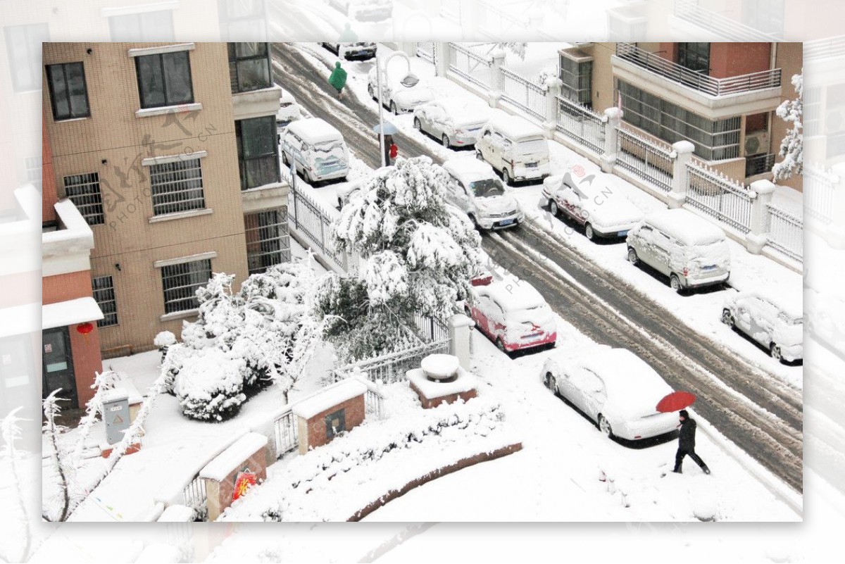2013年雪景图片