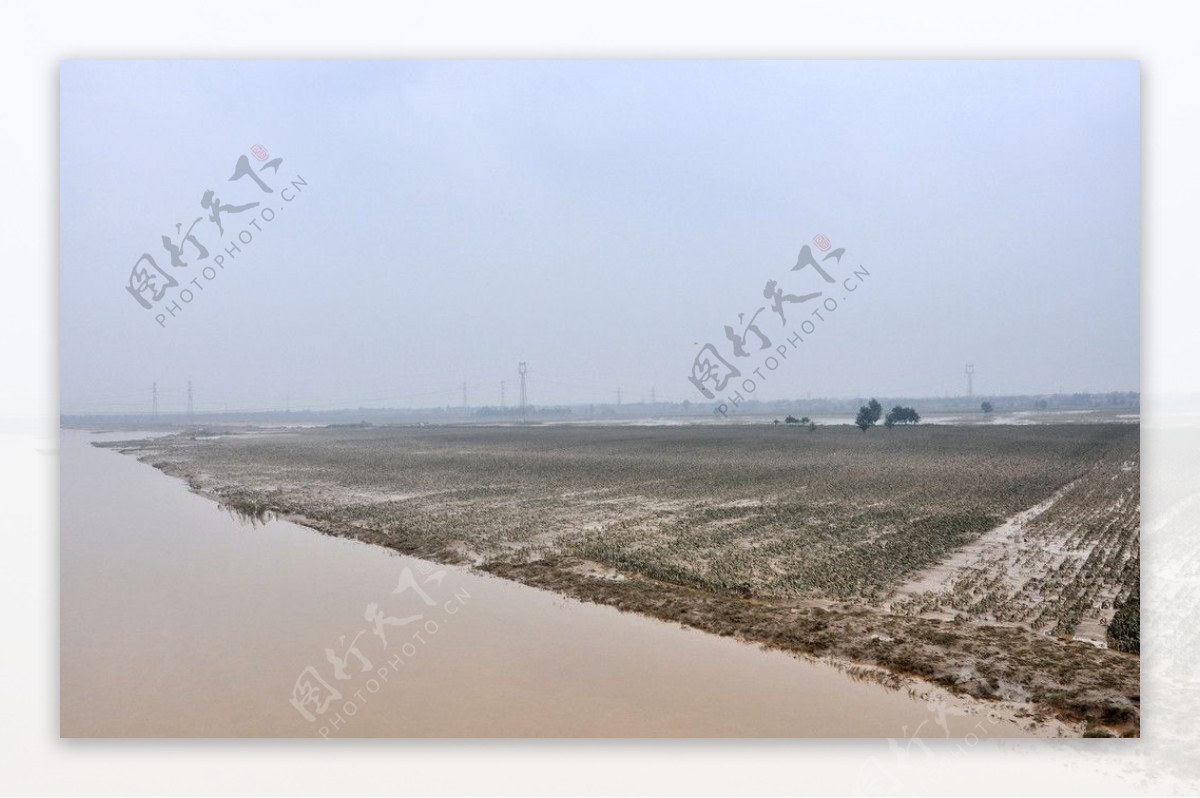 渭河洪峰过后图片