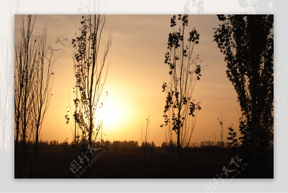 新疆的夕阳图片