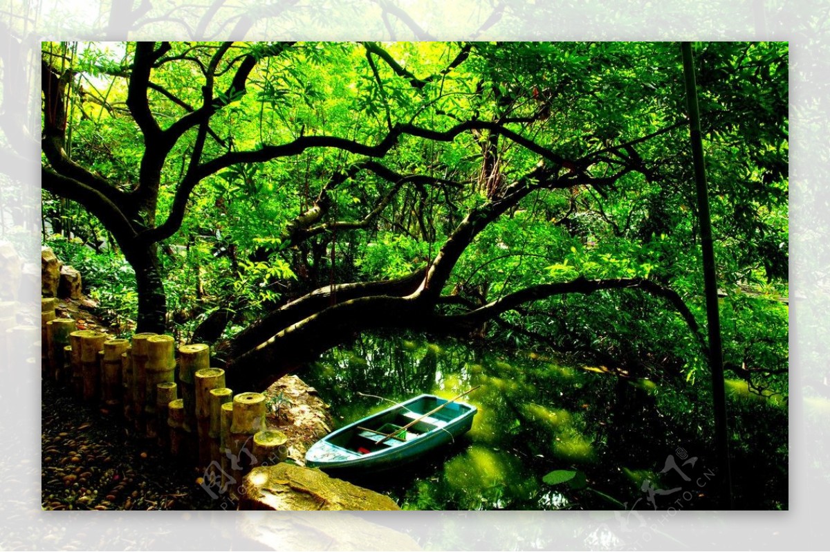 绿荫树下孤舟飘零图片