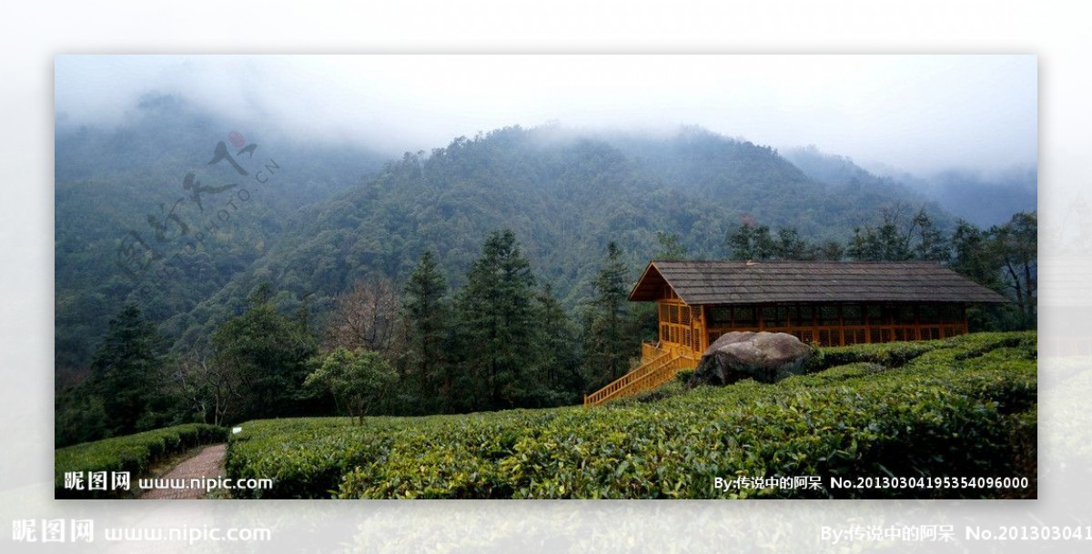 茶园小屋图片