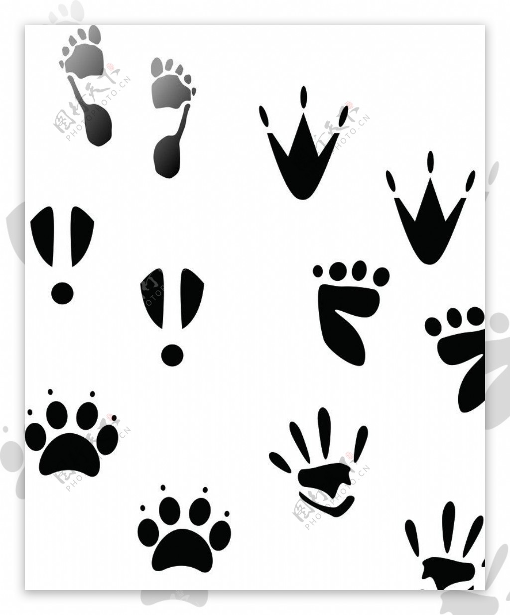 动物脚印图片素材-编号39406688-图行天下