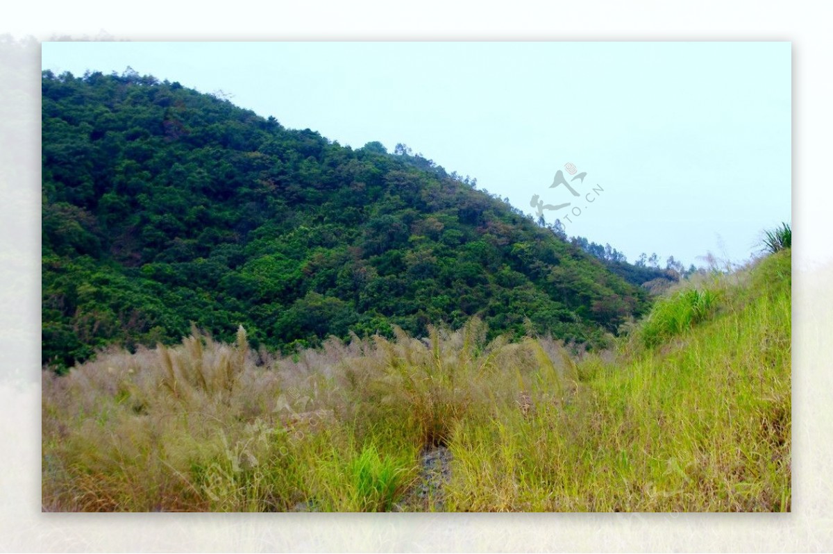 城市风景青山绿草图片